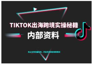TikTok跨境电商0-1搭建运营，TK出海跨境实操秘籍（10月更新）-第一资源库