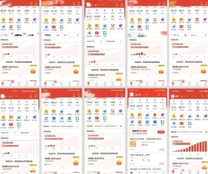 拼多多虚拟电商，门槛低，搬运上架，操作起来简单粗暴，单人单店三位数，可矩阵-第一资源库