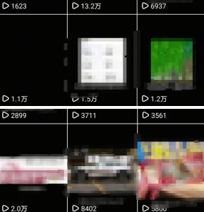 抖音引流创业粉教程,创业粉终于跑通了,私域是永远的王-第一资源库