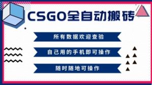 CSGO全自动搬砖，年底钱回家好项目，当天可拿到结果，新手小白轻松月入1W+【揭秘】-第一资源库