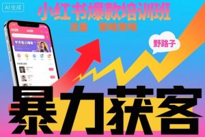 小红书爆款培训班，小红书获客野路子流量打法，暴力持续获客-第一资源库