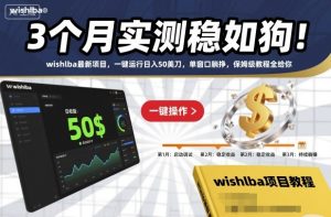 3个月实测稳如狗！wishlba最新项目，一键运行日入50美刀，单窗口躺挣，保姆级教程全给你【揭秘】-第一资源库