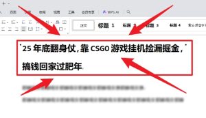 25年底翻身仗，靠CSGO游戏挂G捡漏掘金，搞钱回家过肥年【揭秘】-第一资源库