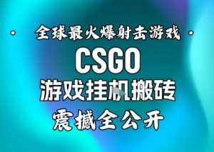 【年底大揭秘】基于全球最火爆的射击CSGO游戏挂G搬砖,日入5张+,震撼公开-第一资源库
