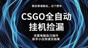 【稳定副业】全球最热门游戏CSGO全自动捡漏,最新玩法,新手小白日入5张+【揭秘】-第一资源库