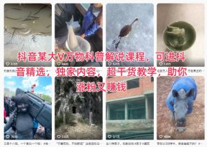 抖音某大V万物科普解说课程，可进抖音精选，独家内容，超干货教学，助你涨粉又賺钱-第一资源库