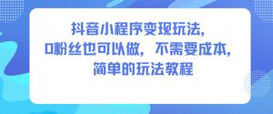 抖音小程序变现玩法,0粉丝也可以做,不需要成本,简单的玩法教程-第一资源库