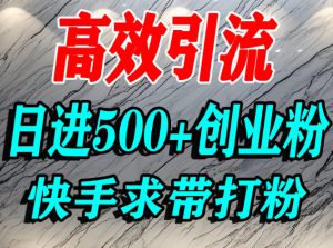 怎么打创业粉？快手求带视角精准引流创业粉，宝妈、学生群体日进500+精准流量-第一资源库
