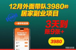 12月外面带队3980的居家副业项目，一部手机实测3天到账9张+，首发教程【揭秘】-第一资源库