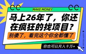 26年了,不要再疯狂的找项目了,看完这个你也可以月入十个W【揭秘】-第一资源库