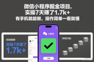 微信小程序掘金项目,实操7天賺了1.7k+,有手机就能做,操作简单一看就懂【揭秘】-第一资源库