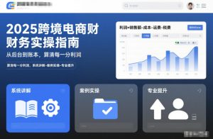 2025跨境电商财务实操指南，从后台到账本，算清每一分利润，系统讲解-案例实操-专业提升-第一资源库