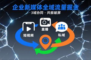 短视频全域商业模式，企业新媒体全域流量掘金，3域协同，共振破屏，短视频-直播-私域-地域-第一资源库