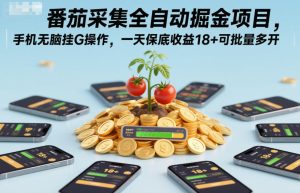 番茄采集全自动掘金项目，手机无脑挂G操作，一天保底收益18+可批量多开【揭秘】-第一资源库