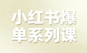 小红书爆单系列课，聚焦小红书电商全链路增长（更新）-第一资源库