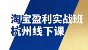 淘宝盈利实战班杭州线下课12月26-28日(音频+字幕),帮你掌握SOP流程+12门核心技术-第一资源库