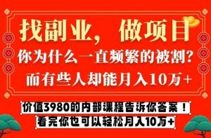 价值3980的网创内部课程，告诉你互联网创业月入10个W的秘密【揭秘】-第一资源库