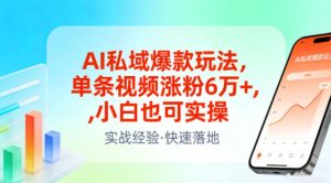 AI私域爆款玩法,单条视频涨粉6W+,小白也可实操-第一资源库