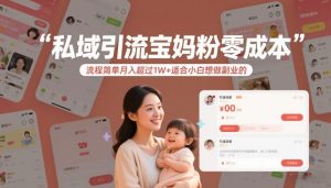 私域引流宝妈粉零成本流程简单月入超过1W+适合小白想做副业的-第一资源库