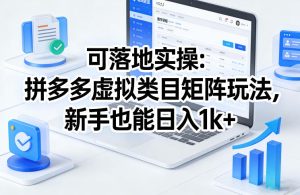 可落地实操：拼多多虚拟类目矩阵玩法，新手也能日入1k+【揭秘】-第一资源库