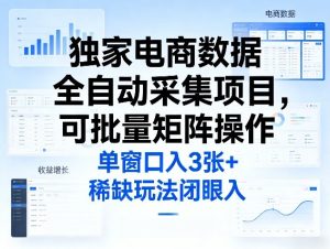 独家电商数据全自动采集项目，可批量矩阵操作，单窗口日入3张+，稀缺玩法闭眼入【揭秘】-第一资源库