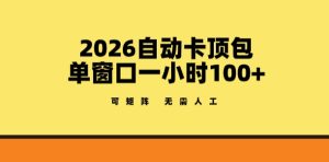 2026自动卡顶包玩法，单窗口一小时100+，可矩阵操作，无需人工【揭秘】-第一资源库