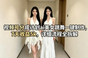 视频号分成计划ai美女跳舞一键制作，7天收益5k，详细流程全拆解-第一资源库