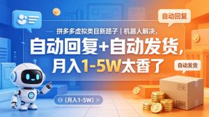 拼多多虚拟类目新路子｜机器人解决，自动回复+自动发货，月入1-5W太香了【揭秘】-第一资源库