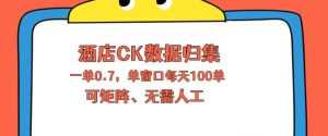 上班也能玩的酒店CK数据归集，一单0.7单窗口每天可做100单，一个人就能矩阵操作【揭秘】-第一资源库