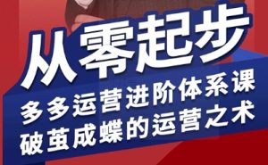 拼多多运营进阶系统课，从零起步，多多运营进阶体系课，破茧成蝶的运营之术（更新26年4月）-第一资源库