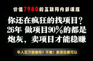 26年请不要疯狂的找项目了,卖项目远比你想象的暴利,你也可以月入10W+【揭秘】-第一资源库