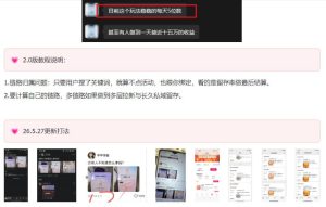 KS项目2.0期-拆本周结1W项目思路,几张图撬动流量群体,真的生猛-第一资源库