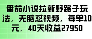 番茄小说拉新野路子玩法,无脑怼视频,玩法简单、见效快,每单10米,40天收益27950-第一资源库