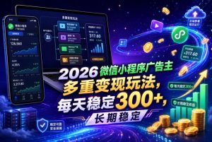 2026微信小程序广告主,多重变现玩法,每天稳定300+,长期稳定【揭秘】-第一资源库