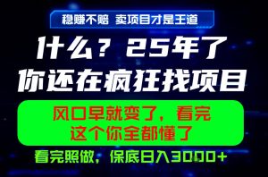 26年,请不要疯狂的找项目做了!卖项目才是真的稳賺不赔,看完照做,保底日入1k+【揭秘】-第一资源库