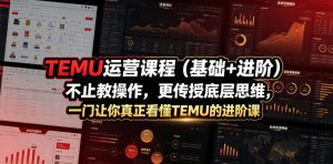 TEMU运营课程（基础+进阶），不止教操作，更传授底层思维，一门让你真正看懂TEMU的进阶课-第一资源库