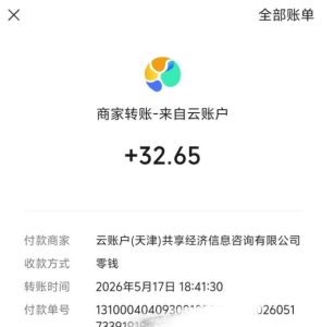 微信游戏撸广独家玩法,今天做明天就能出收益,单号日收益20+,可多号矩阵放大-第一资源库