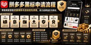 拼多多黑标申请流程,帮助商家获取流量倾斜与活动优先资格,助力品牌溢价与转化-第一资源库