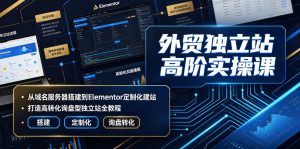 外贸独立站高阶实操课｜从域名服务器搭建到Elementor定制化建站，打造高转化询盘型独立站全教程-第一资源库