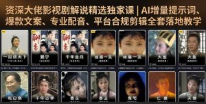 资深大佬影视剧解说精选独家课|AI增量提示词、爆款文案、专业配音、平台合规剪辑全套落地教学-第一资源库