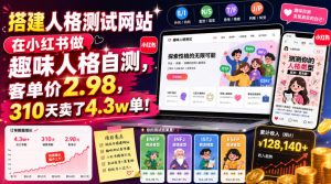 搭建人格测试网站在小红书做趣味人格自测，客单价2.98，310天卖了4.3w单！-第一资源库
