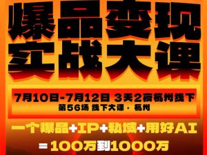 爆品变现实战大课,从爆品,到流量,到成交,一个爆品+IP+私域+用好AI=100W到1000W(7月10-12日)-第一资源库