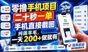 零撸手机项目，二十秒一单，手机直接截图，纯薅羊毛，一天200+做就有【揭秘】-第一资源库