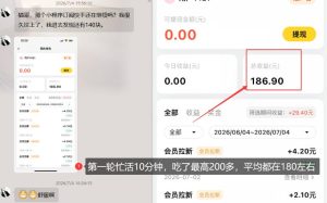 【大羊毛】几分钟30-40r,【流量体联盟】,可以矩阵,操作无脑简单-第一资源库