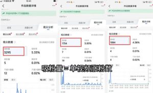 苗子起号涨粉实战变现训练营,多类目零基础爆款起号、精准起号节奏、新手稳涨粉可落地变现全课(更新0719)-第一资源库