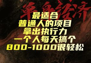 最适合普通人的项目,拿出执行力一个人每天搞个800-1k很轻松【揭秘】-第一资源库