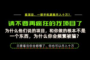 为什么做项目的人大多都是炮灰?为什么只有卖项目才能稳?看完你也可以月入10W+【揭秘】-第一资源库