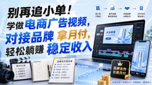 别再追小单!学做电商广告视频,对接品牌拿月付,轻松躺賺稳定收入【原创双语字幕】-第一资源库