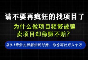 找项目?别傻了!卖项目才是真的一本万利!看完你全都懂了【揭秘】-第一资源库