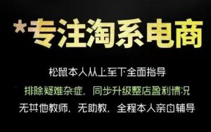 松鼠会电商VIP课程,从基础布局到高阶优化,助你掌握淘宝运营逻辑,提升店铺流量与转化(更新0823)-第一资源库